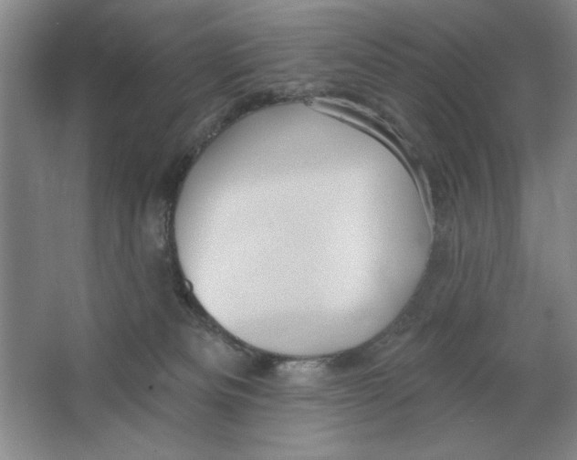 X0000064740133200603031717