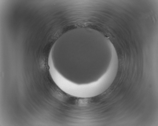 X0000064740134200603031717