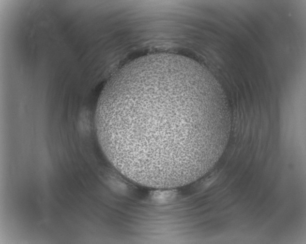 X0000064740135200603031717