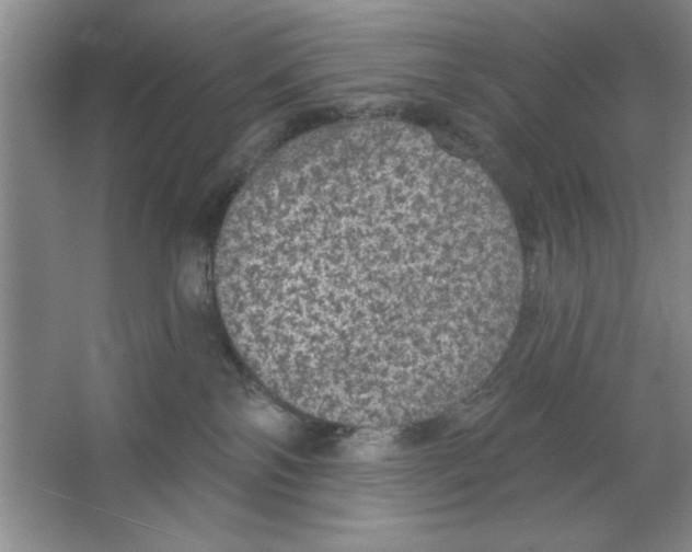 X0000064740138200603031717