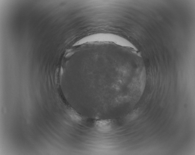 X0000064740139200603031717