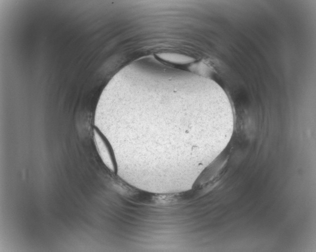 X0000064740141200603031717