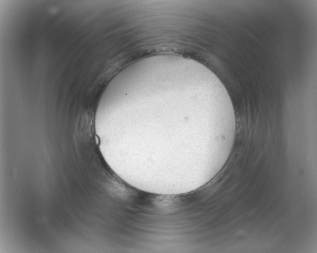 X0000064740142200603031717