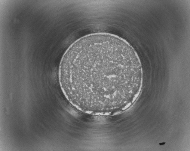 X0000064740144200603031717