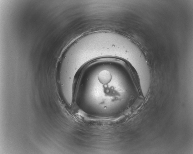 X0000064740146200603031716