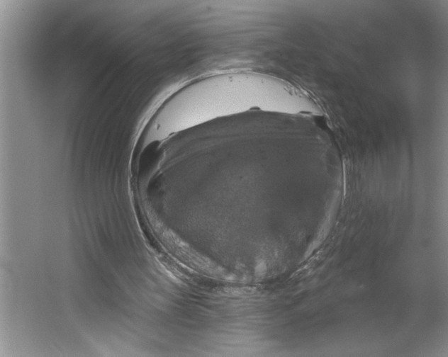 X0000064740147200603031716