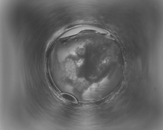 X0000064740149200603031716