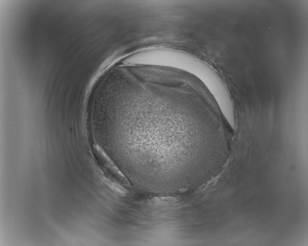 X0000064740150200603031716