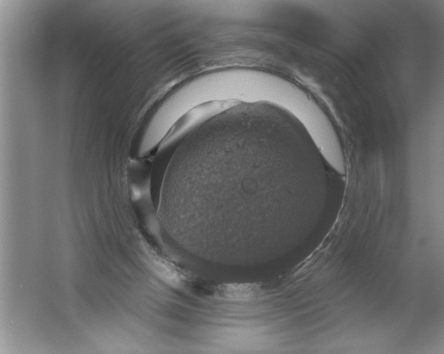 X0000064740154200603031716