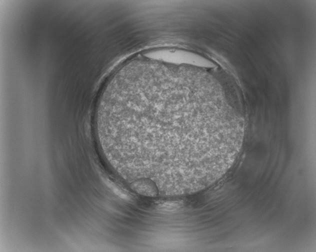 X0000064740155200603031716