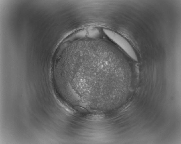 X0000064740156200603031716