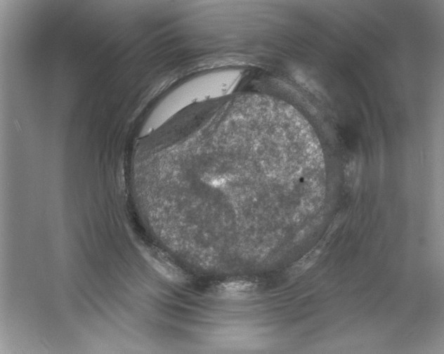 X0000064740158200603031716