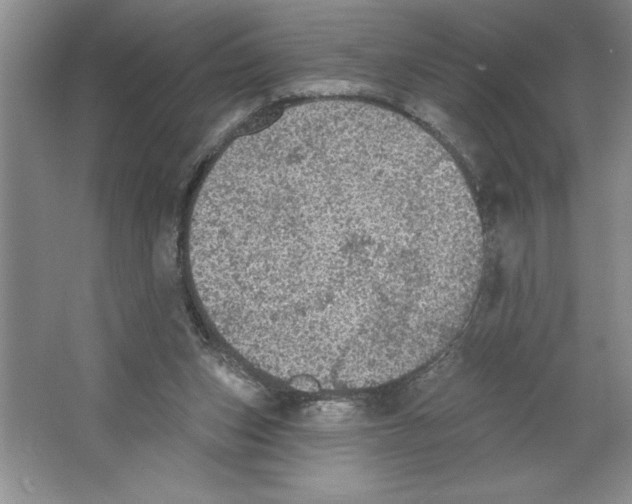 X0000064740159200603031716