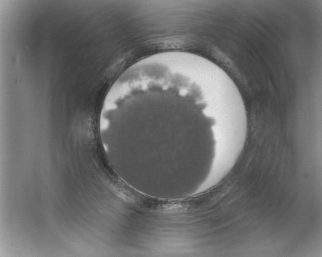 X0000064740161200603031716