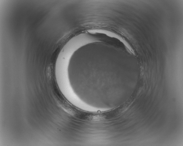 X0000064740165200603031717