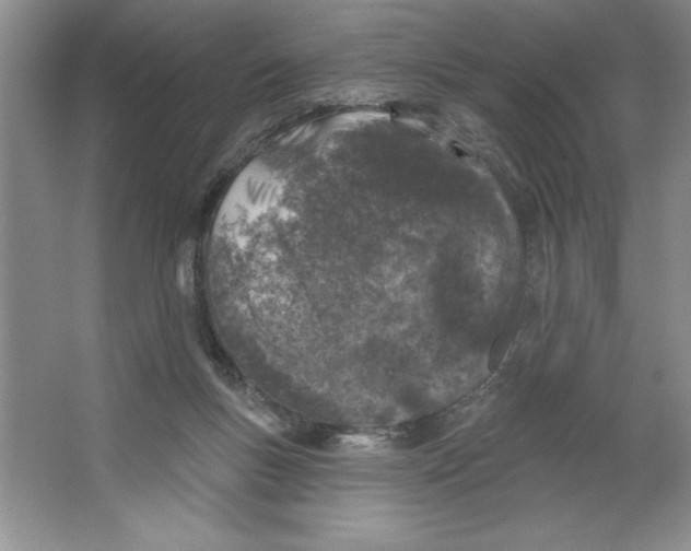 X0000064740167200603031717