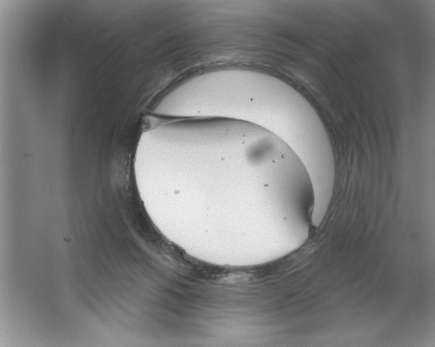 X0000064740168200603031717