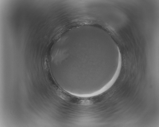 X0000064740169200603031717