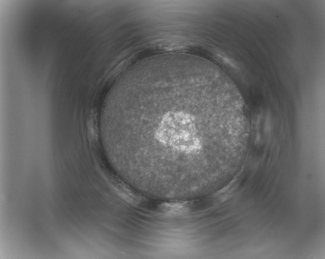 X0000064740170200603031717