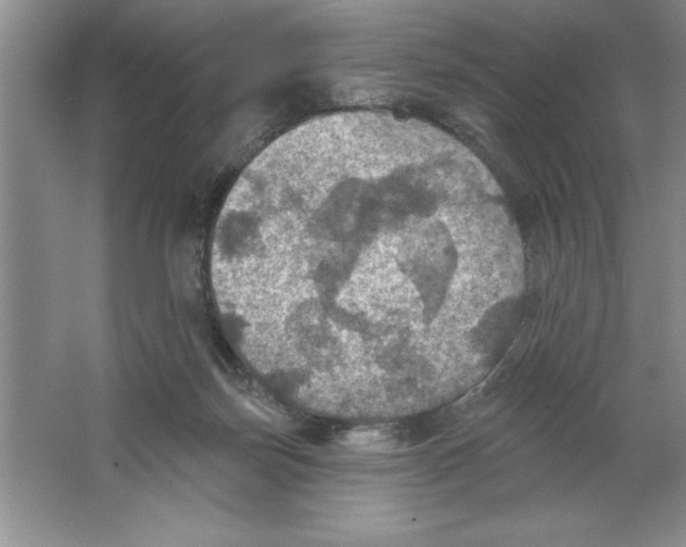 X0000064740171200603031717