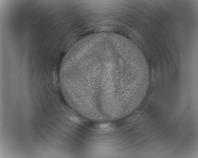 X0000064740173200603031717