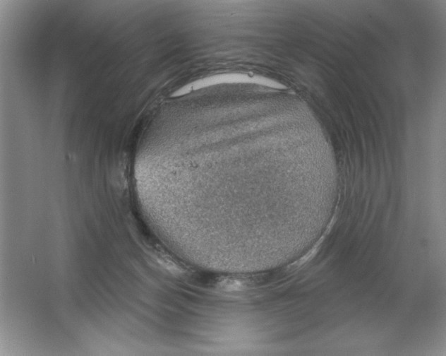 X0000064740174200603031717