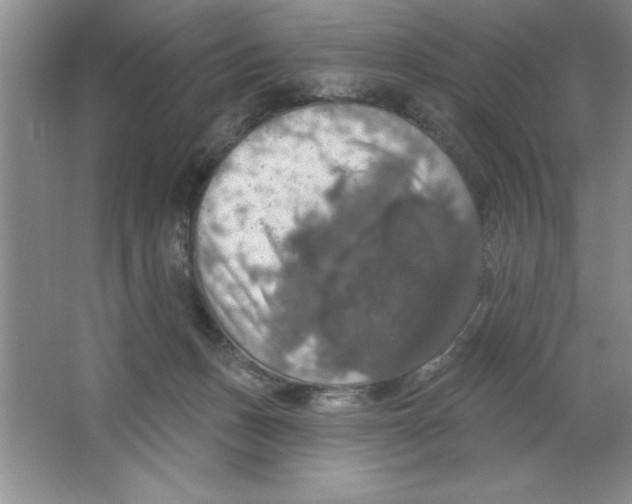 X0000064740175200603031717