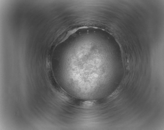 X0000064740176200603031717