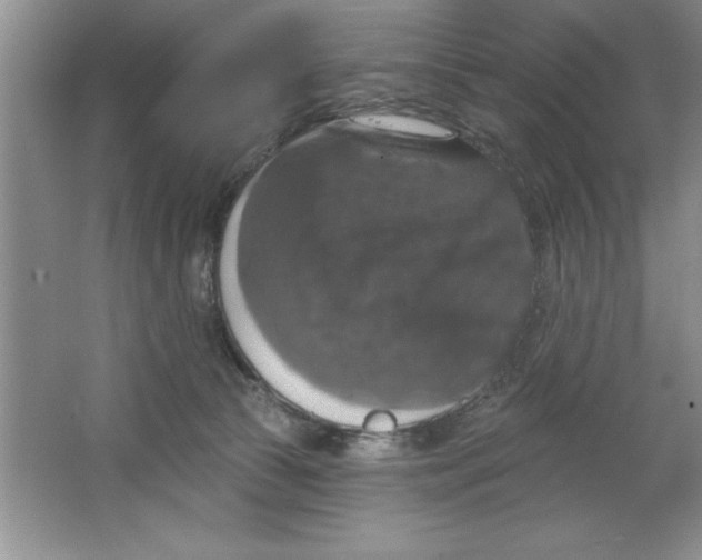 X0000064740177200603031717