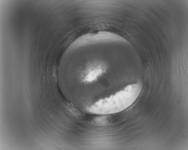 X0000064740178200603031717