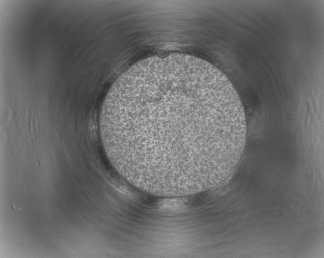 X0000064740179200603031717