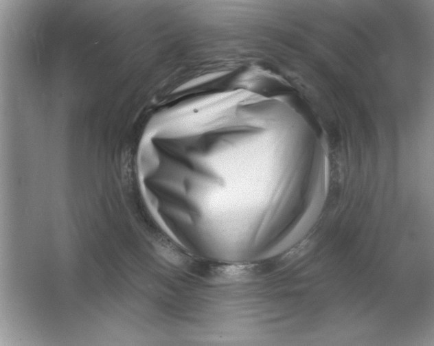 X0000064740184200603031717