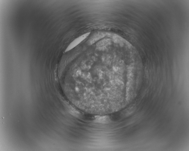 X0000064740185200603031717