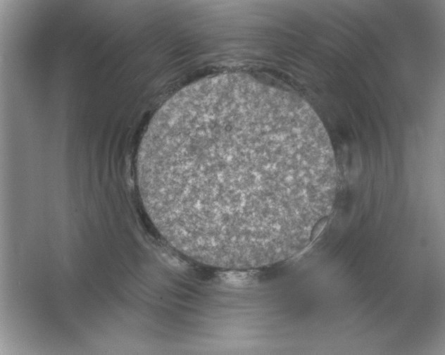 X0000064740187200603031717