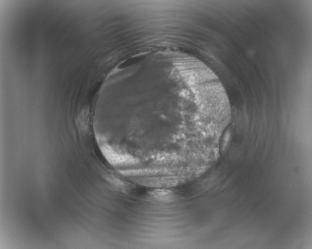 X0000064740189200603031717