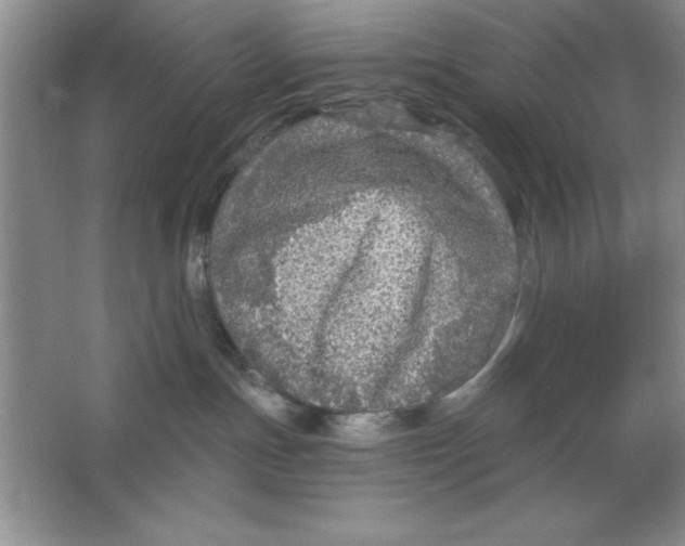 X0000064740191200603031717