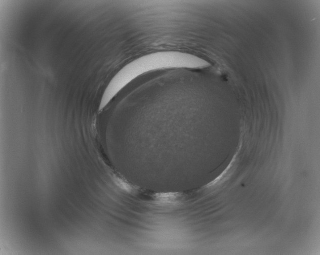 X0000064740192200603031717