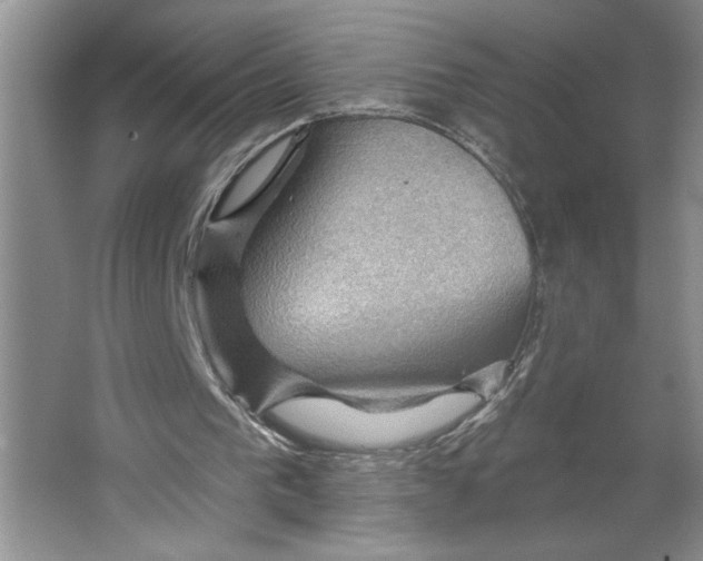 X0000064740193200603031716