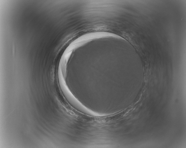 X0000064740194200603031716