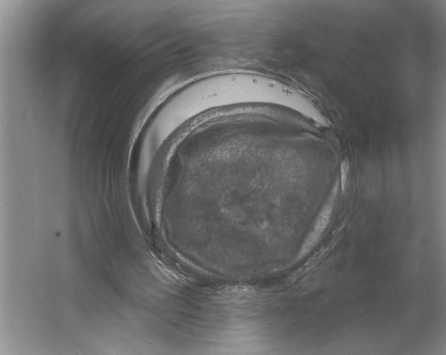 X0000064740195200603031716