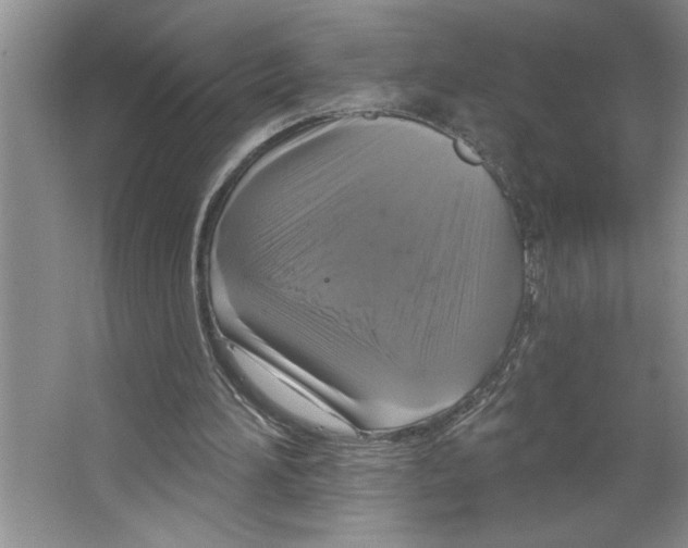 X0000064740196200603031716