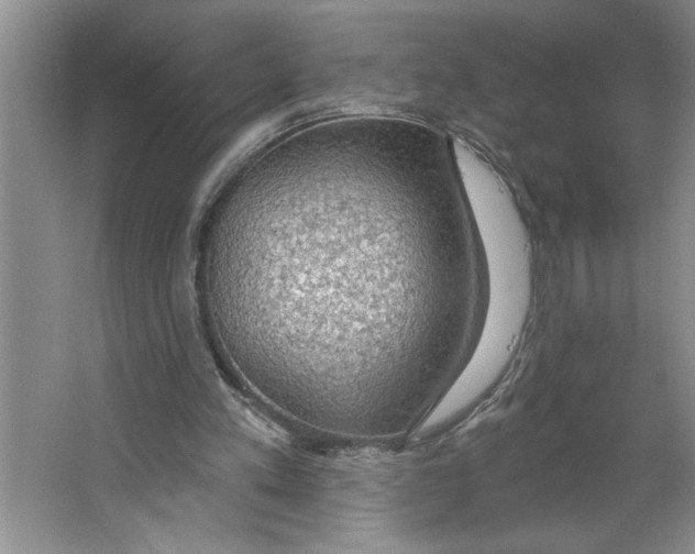 X0000064740197200603031716