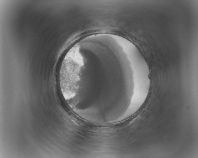 X0000064740198200603031716