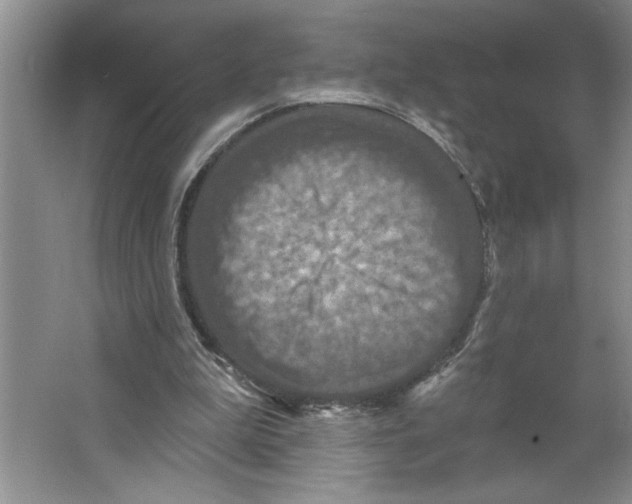 X0000064740199200603031716