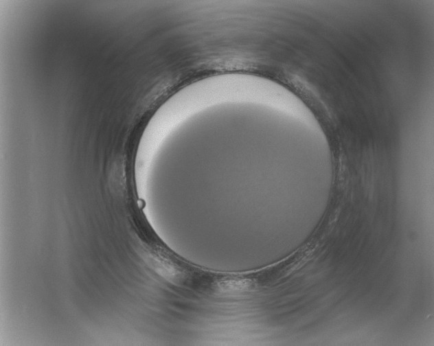 X0000064740202200603031716