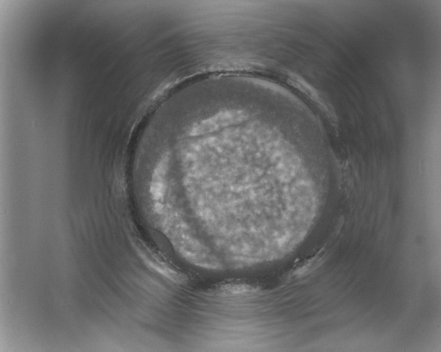 X0000064740203200603031716