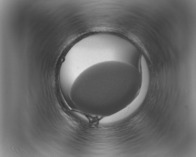 X0000064740204200603031716