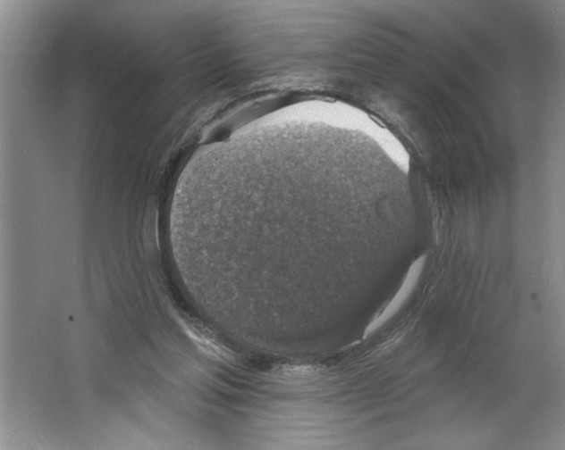 X0000064740205200603031716