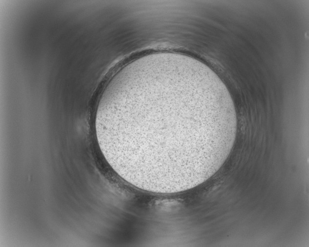 X0000064740208200603031716