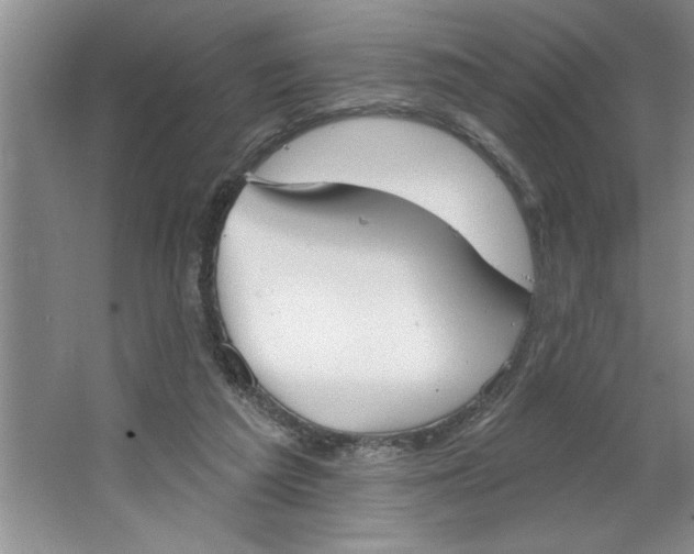 X0000064740209200603031716